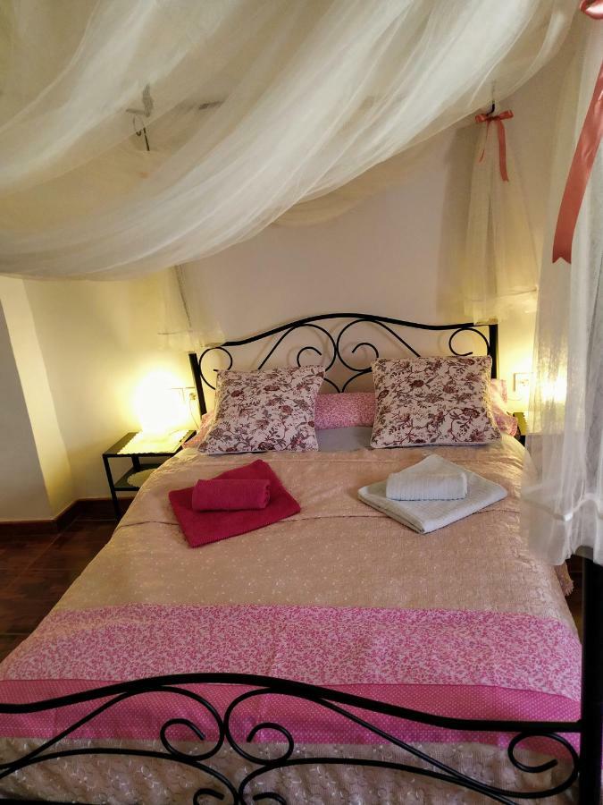 Apartamento Entero "El Casco Antiguo" Vt-46811-V Xàtiva Eksteriør billede