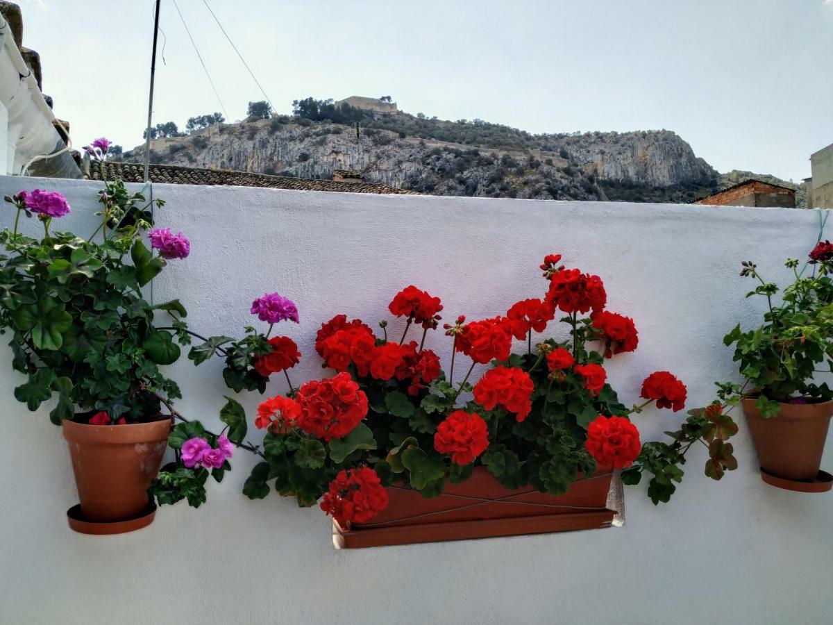 Apartamento Entero "El Casco Antiguo" Vt-46811-V Xàtiva Eksteriør billede